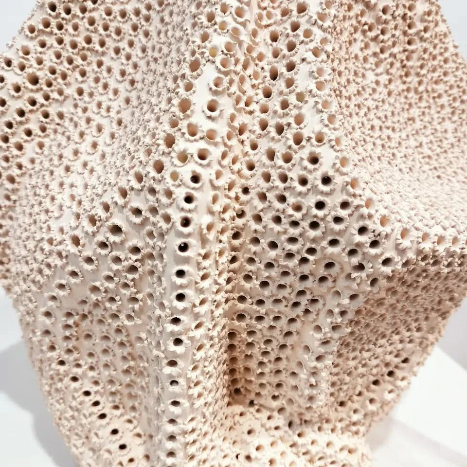 Ceramic Modern Coral Vase