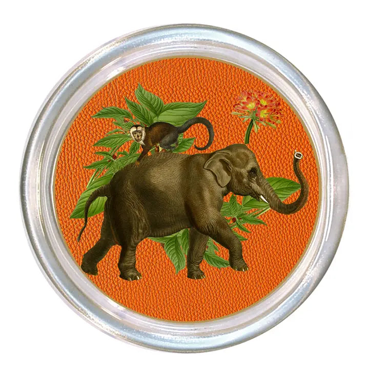 Elephant Coasters Glass Set of 4