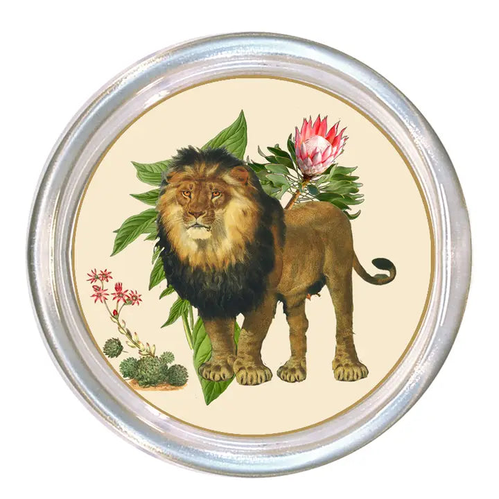 Lion Coasters Glass Set of 4