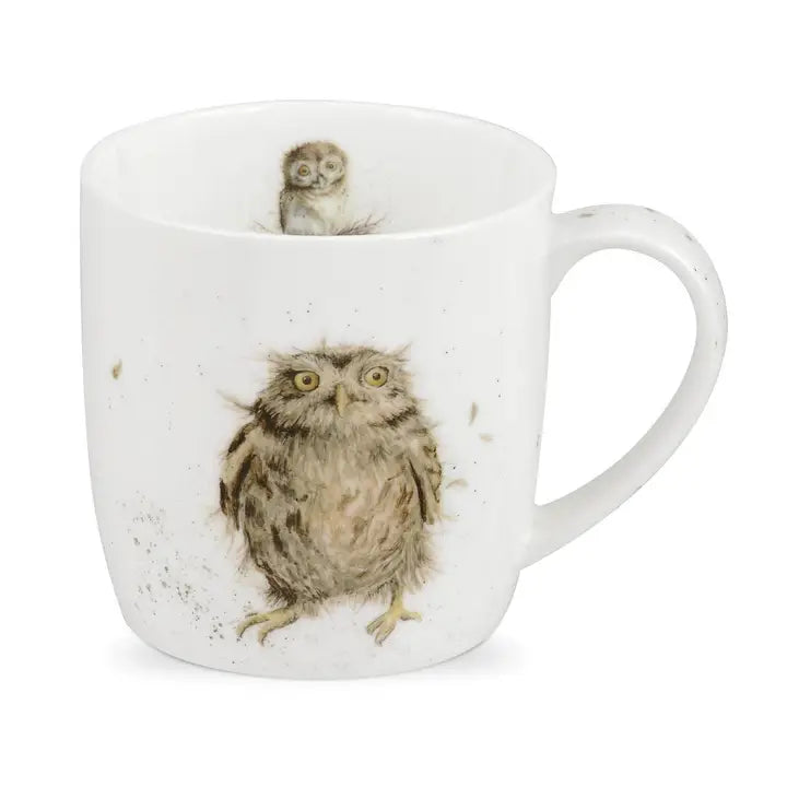 Owl Coffee Mug Set of 4