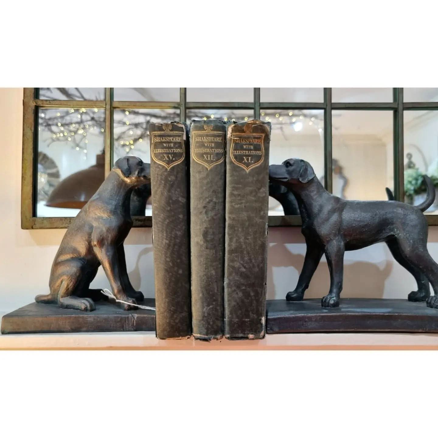 Two Labrador Dogs Book Ends