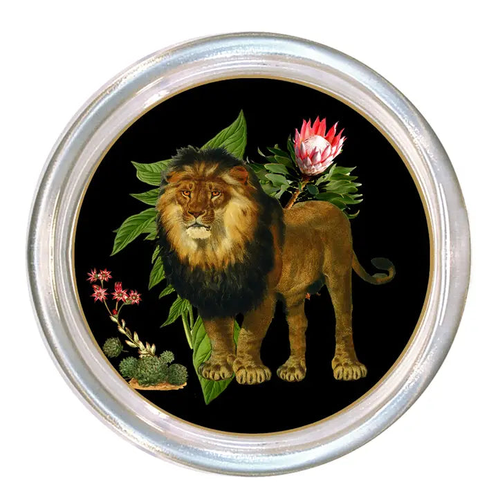 Lion Coasters Glass Set of 4