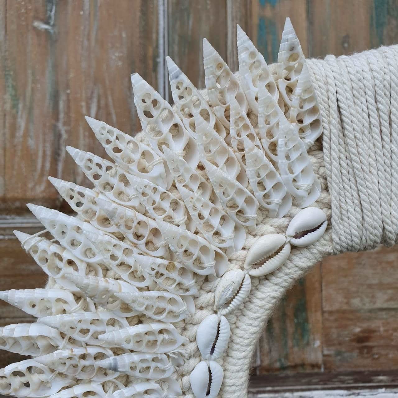 Circle cowrie and Spiral Seashell decor with stand - bohemian-beach-house