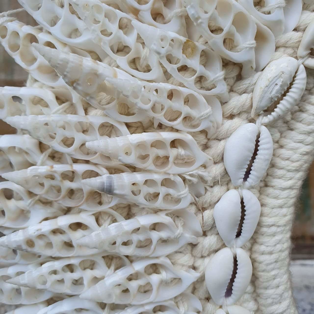 Circle cowrie and Spiral Seashell decor with stand - bohemian-beach-house