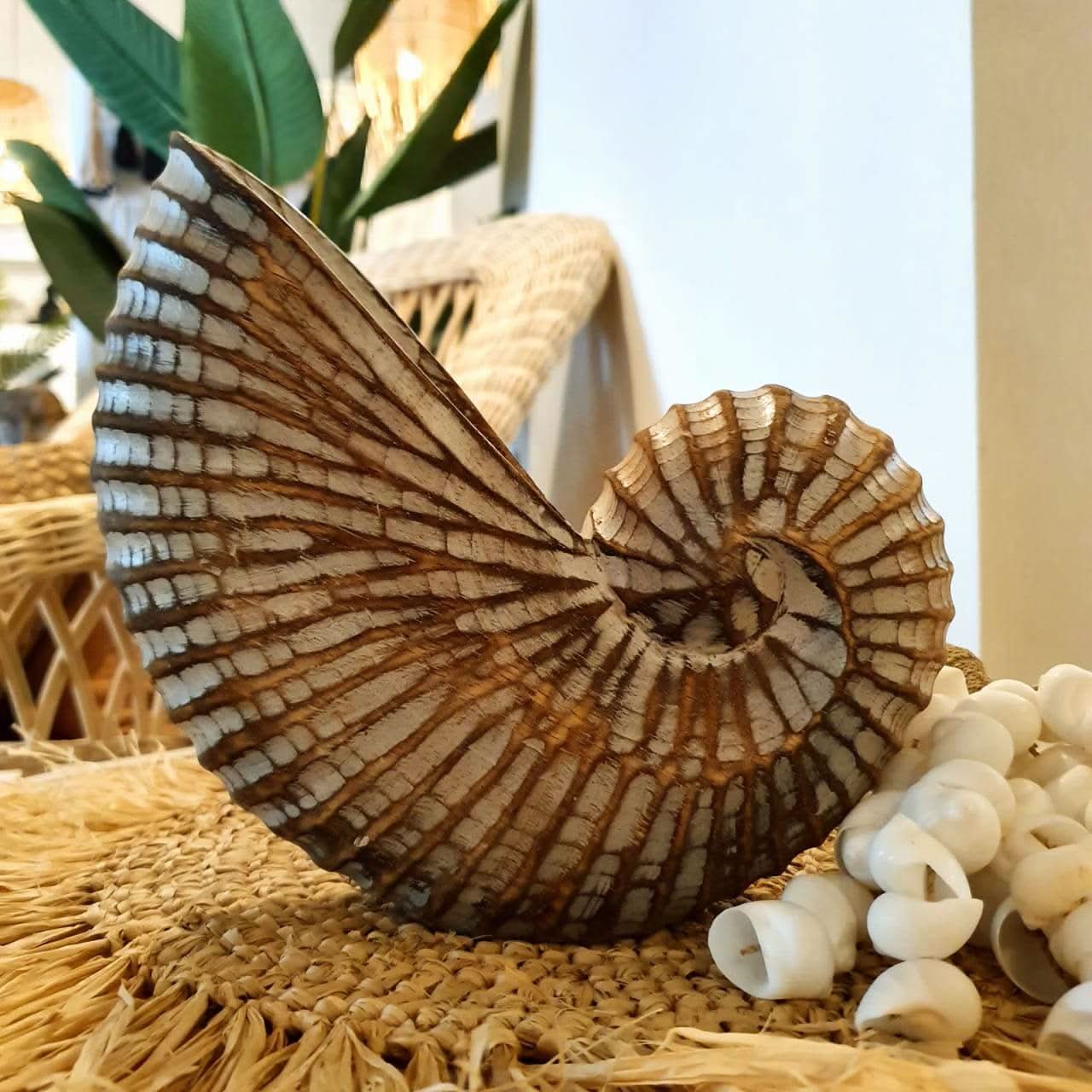Wood Hand carved Nautilus Shell White Wash - bohemian-beach-house