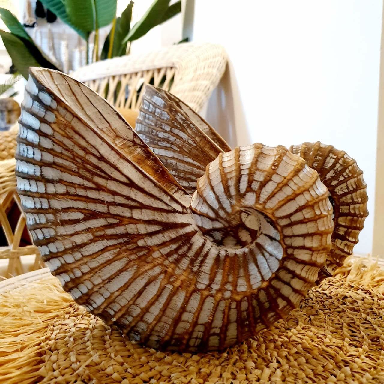 Wood Hand carved Nautilus Shell Brown - bohemian-beach-house