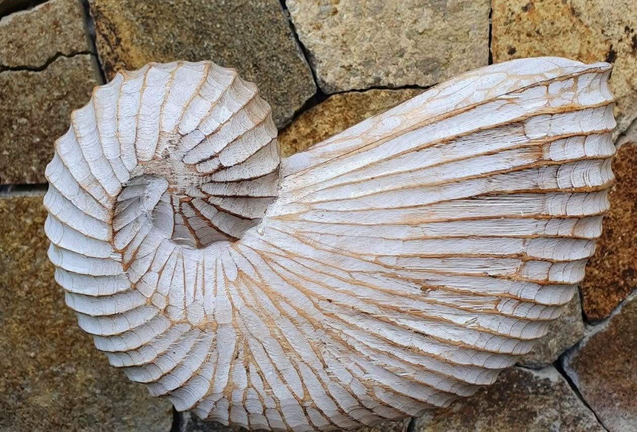 Wood Hand carved Nautilus Shell White Wash - bohemian-beach-house
