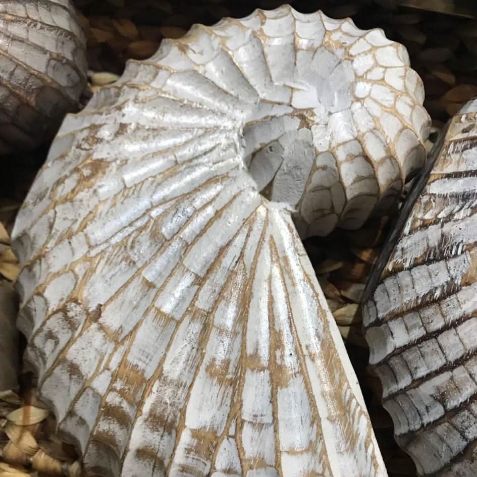 Wood Hand carved Nautilus Shell Brown - bohemian-beach-house