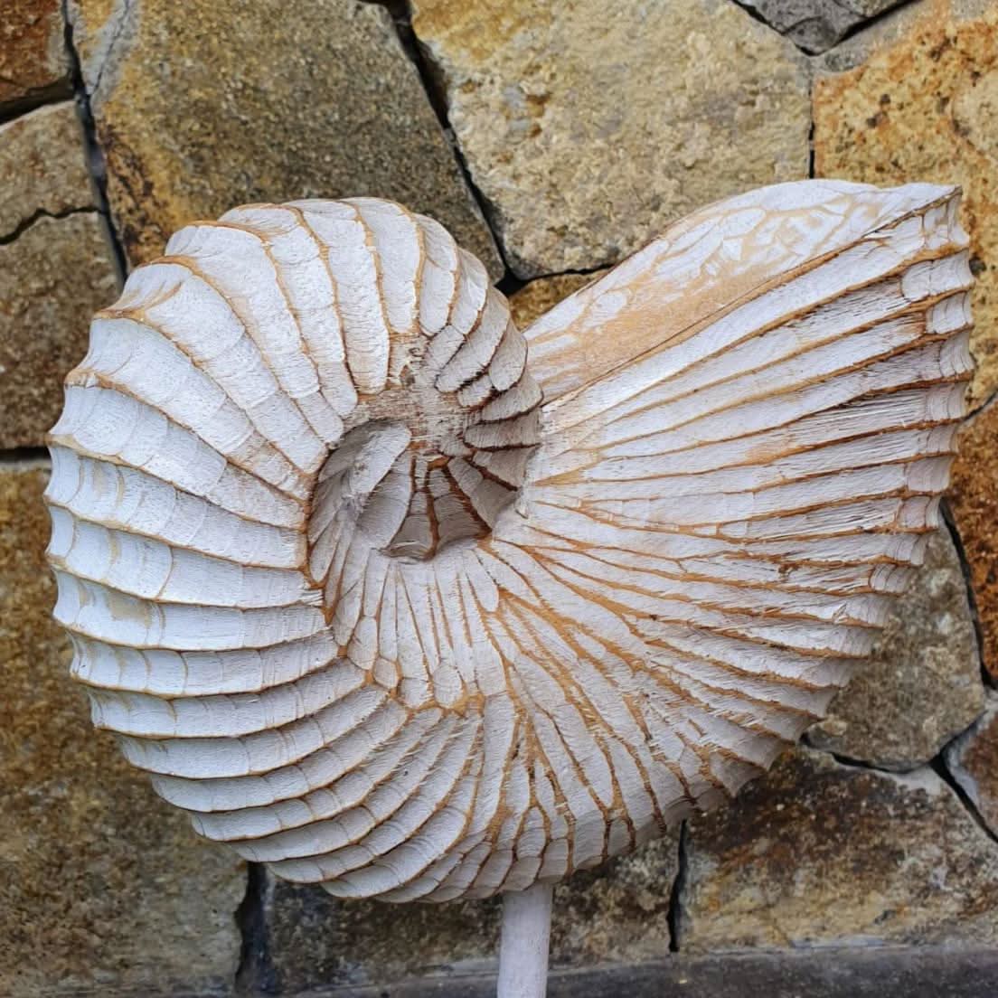 Wood Hand carved Nautilus Shell Brown - bohemian-beach-house