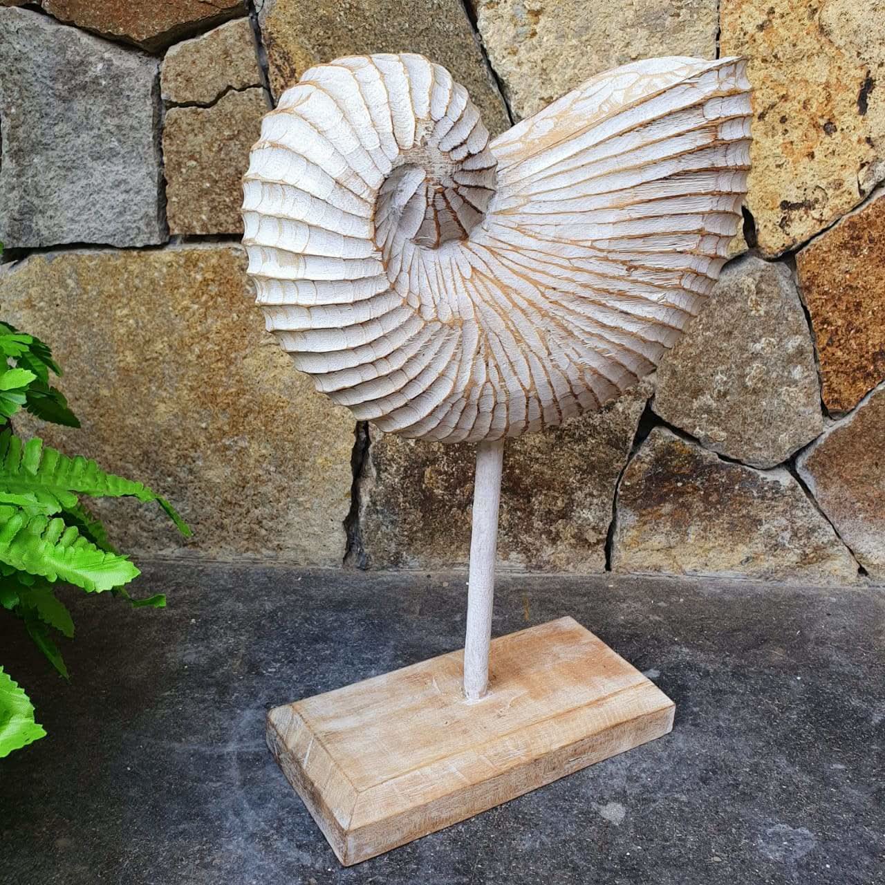 Wood Hand carved Nautilus Shell White Wash - bohemian-beach-house