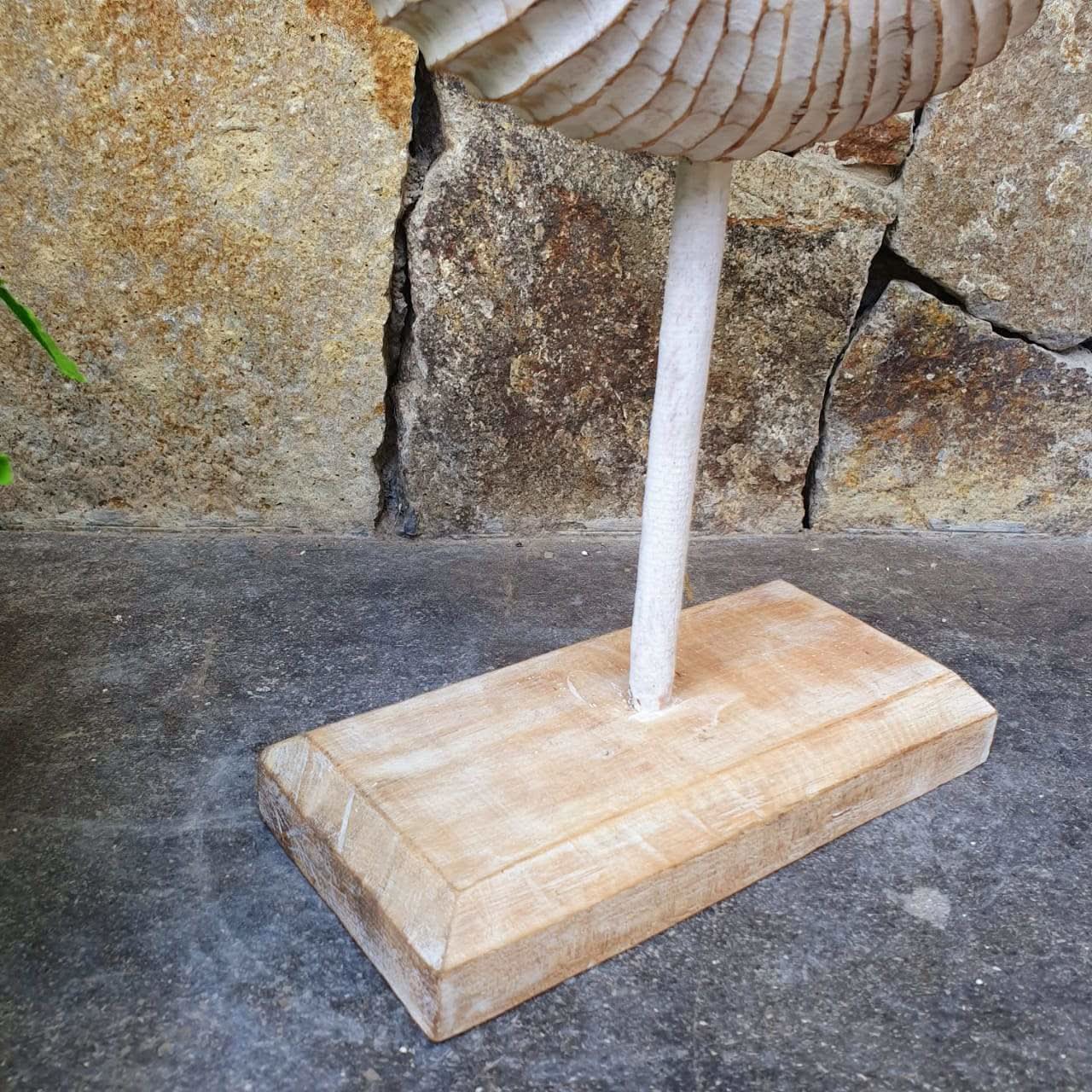 Wood Hand carved Nautilus Shell White Wash - bohemian-beach-house