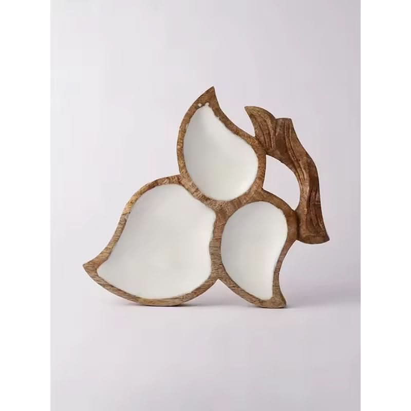 Mango wood Tray with Enamel