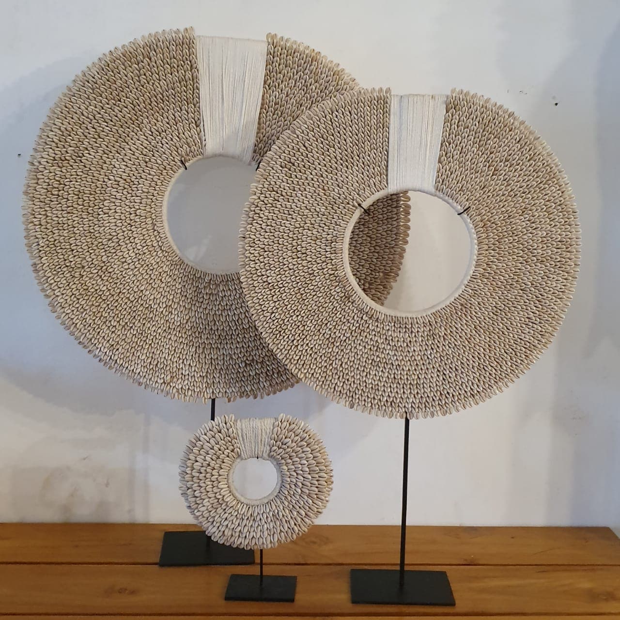 Set of 3 Cowrie Shells Disk Sculpture