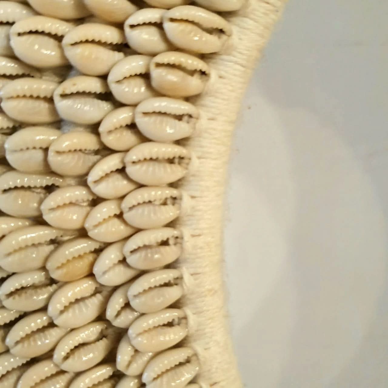 Set of 3 Cowrie Shells Disk Sculpture